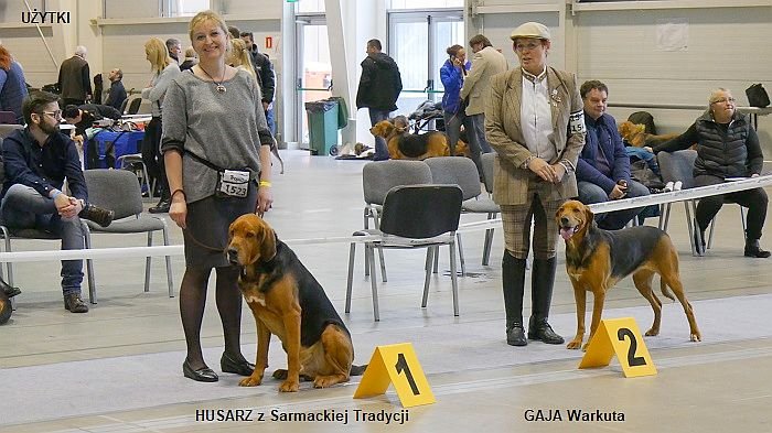 300-01 UŻYTKI -GAJA Warkuta HUSARZ ST 01.jpg
