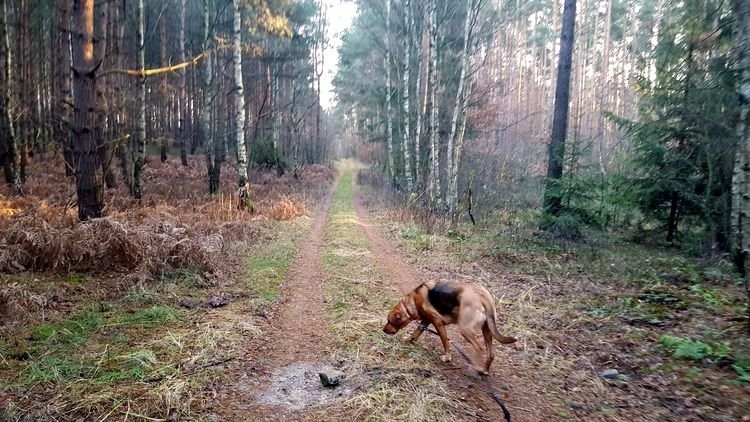 20181227_141345_001.jpg
