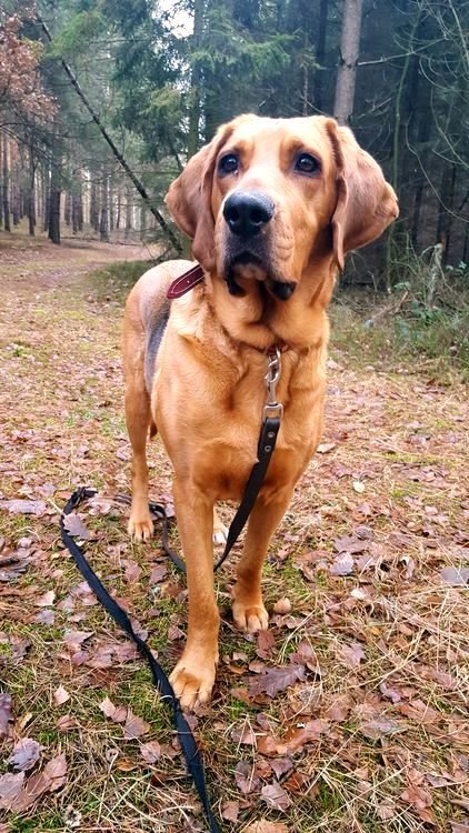20181227_135436.jpg