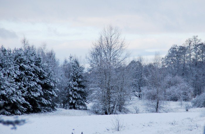 DSC_5912.JPG