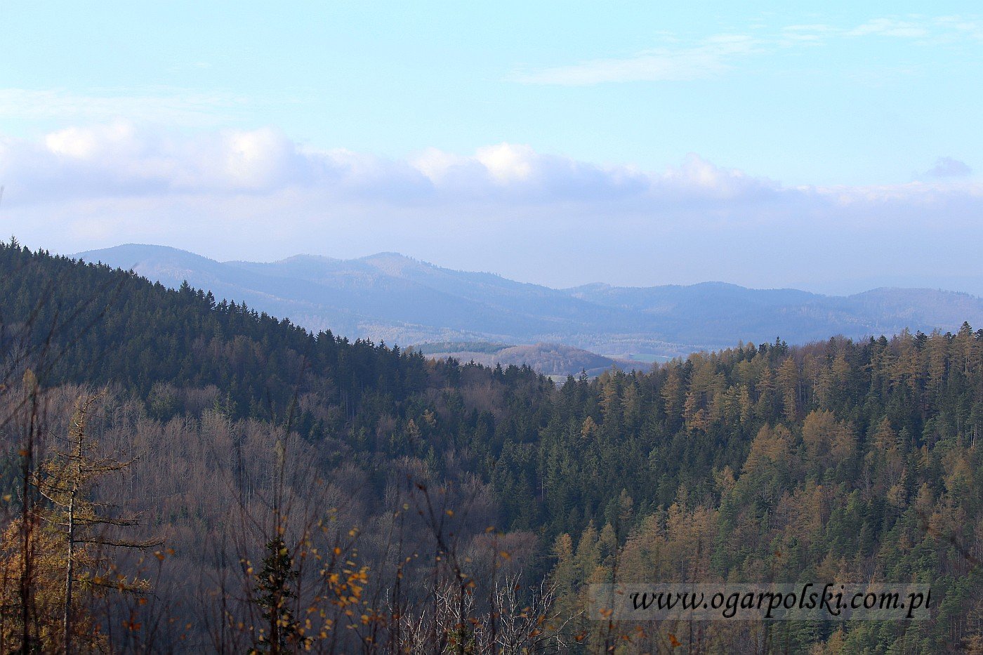 małe-IMG_5838.jpg