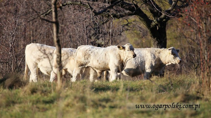 małe-IMG_5886.jpg
