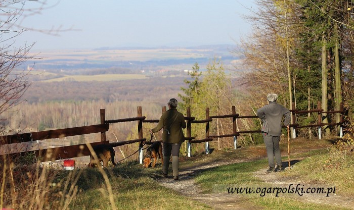 małe-IMG_5910.jpg