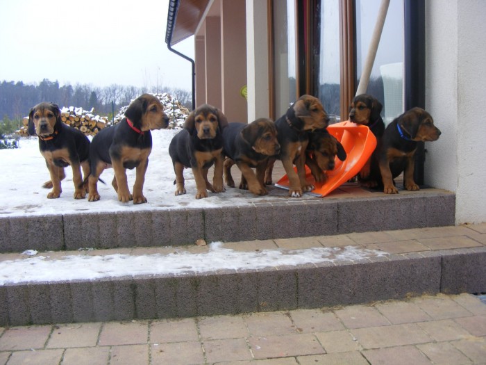 DSCF6716.JPG