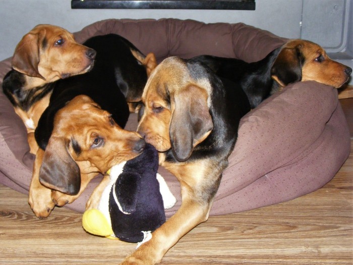 DSCF7628.JPG