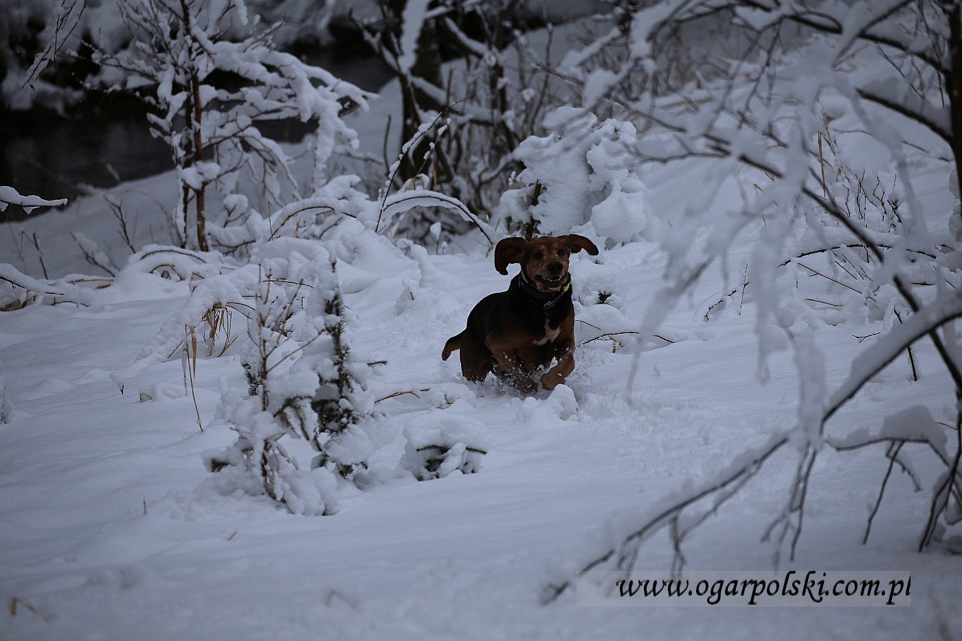 małe-IMG_6263.jpg