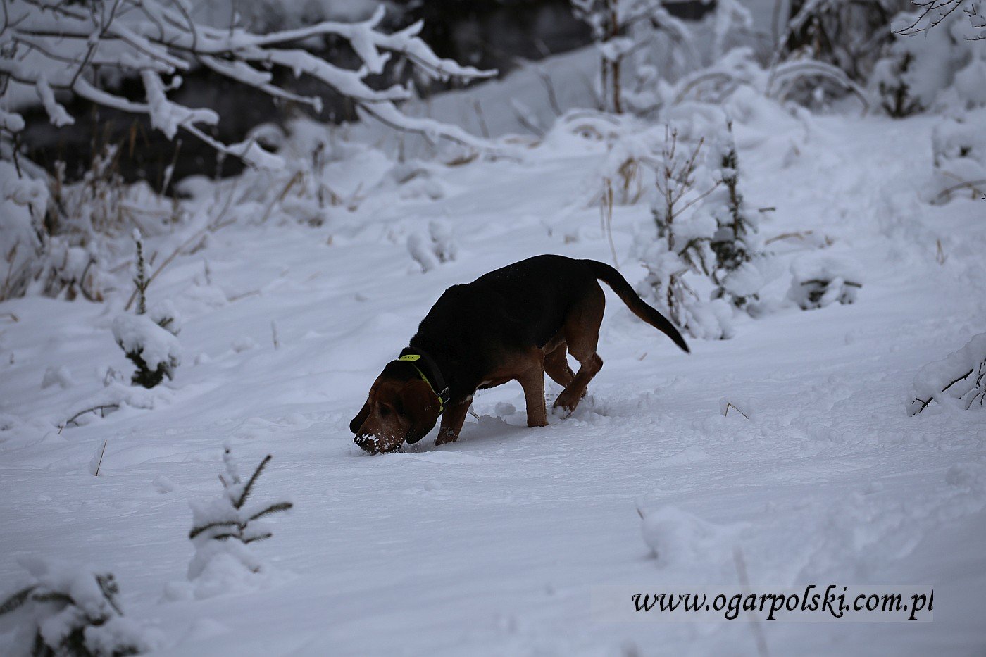 małe-IMG_6265.jpg