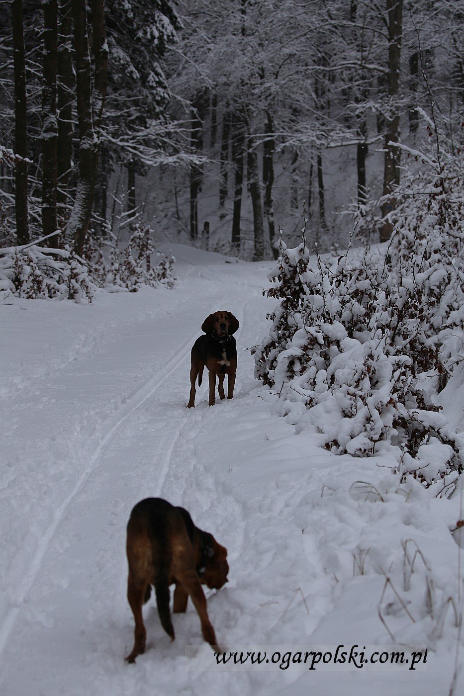 małe-IMG_6298.jpg