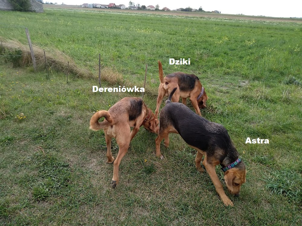astra z rodzinka.jpg