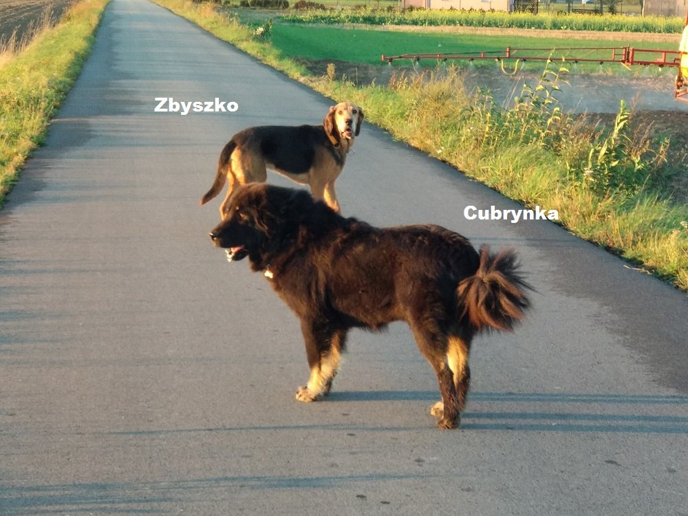 zbys z cubry.jpg