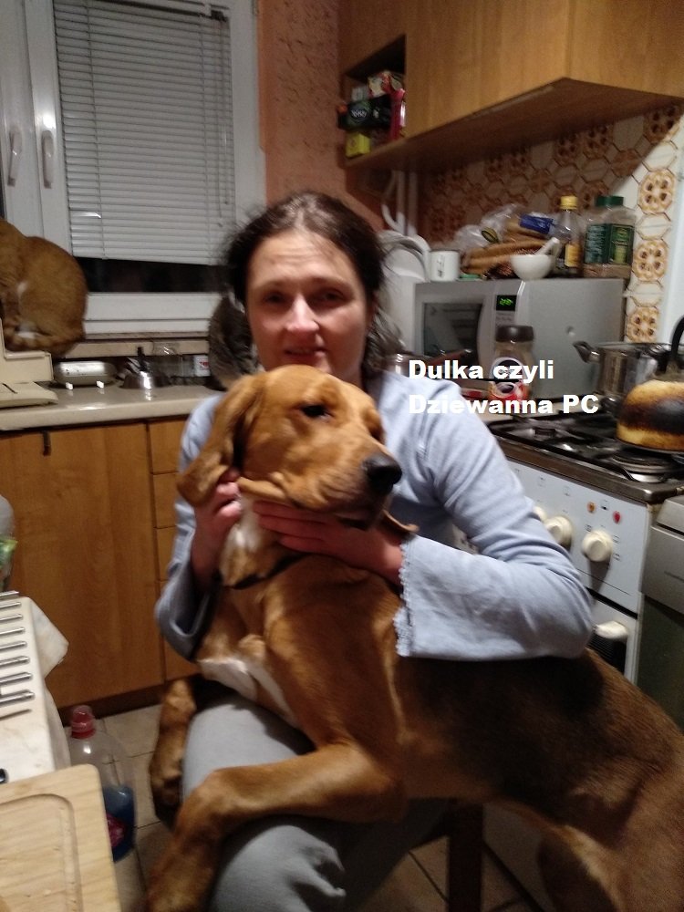 dulka.jpg