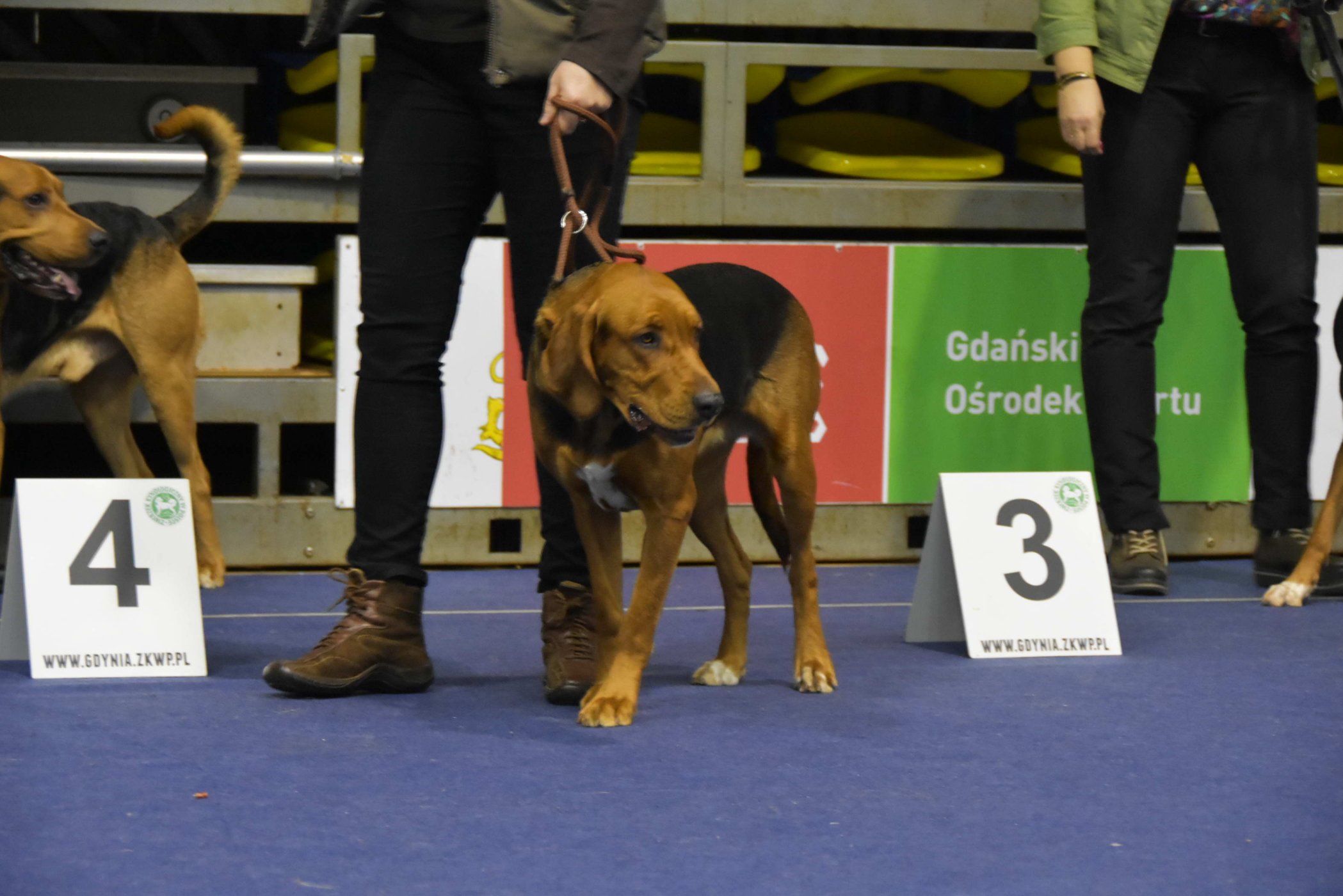 GRANDA Świerkowa Wieś