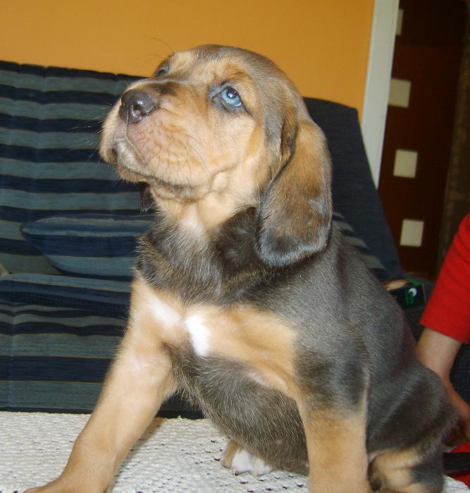 Kwiecień 2009