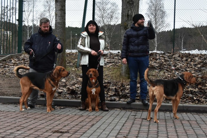 KRASNY z Glinianej Osady, GRANDA Świerkowa Wieś, KAJKO z Glinianej Osady