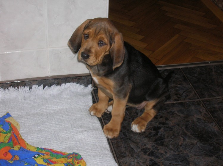 DSCN0001.JPG