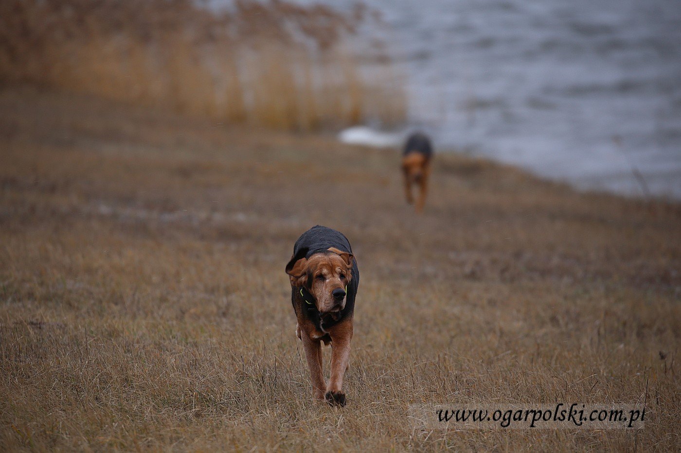 małe-IMG_6473.jpg