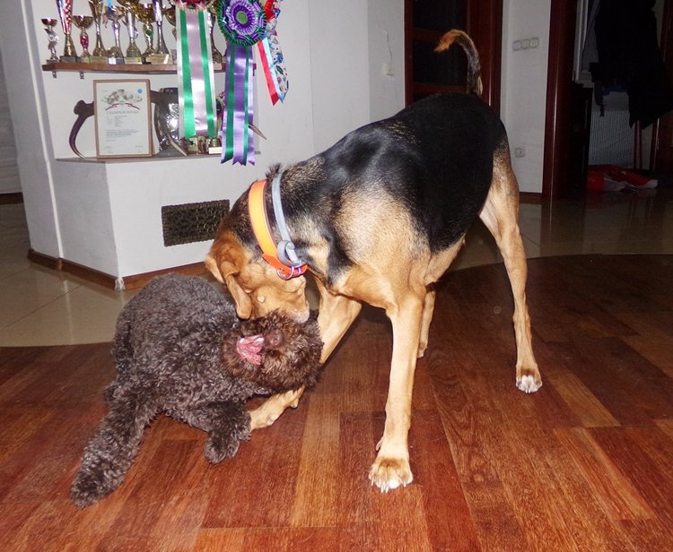 lola i anabel.JPG