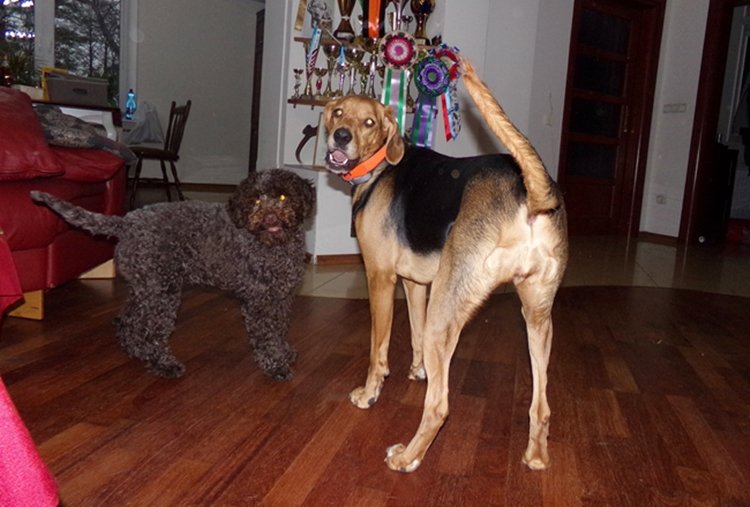lola i analeka.JPG