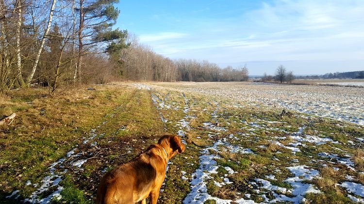 20190111_135036_001.jpg