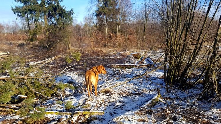 20190111_135248.jpg