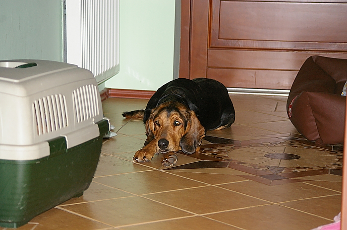 IMGP5085.JPG