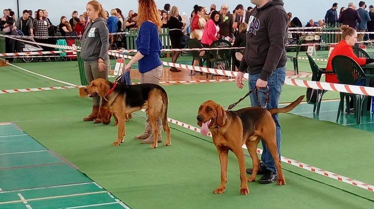 Nasza pierwsza wystawa Nowy Dwór Maz.