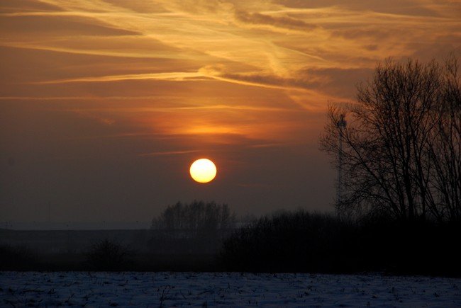DSC_6228.JPG