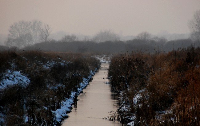 DSC_6200.JPG