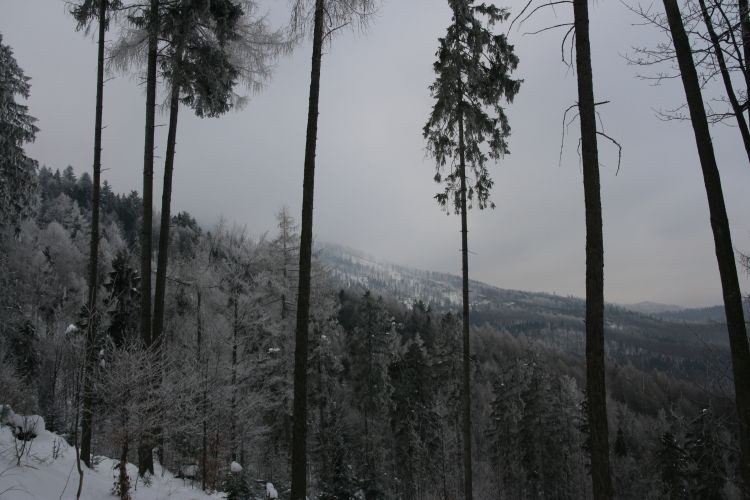 w malowniczej scenerii