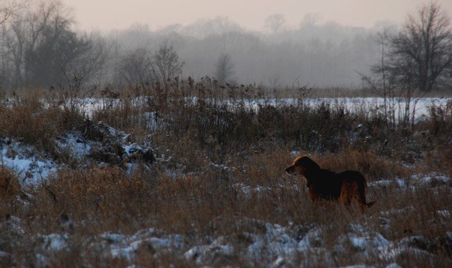 DSC_6223.JPG