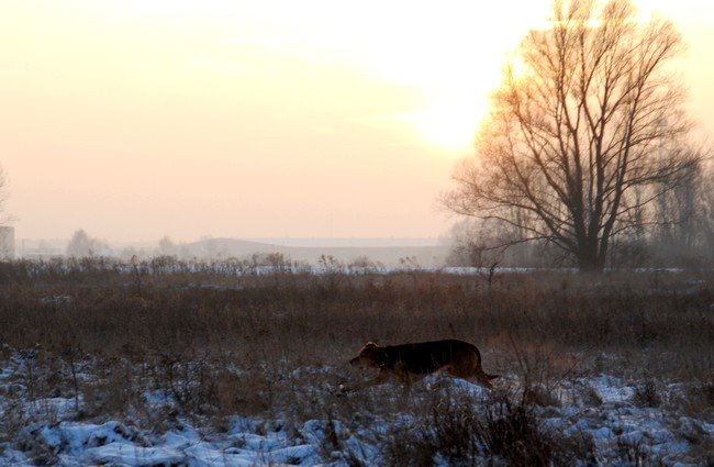 DSC_6225.JPG