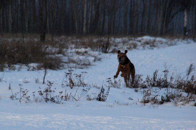 Wracamy :)