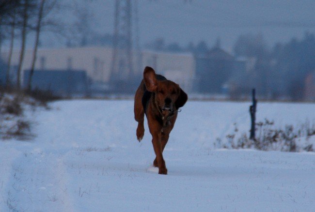 DSC_6237.JPG