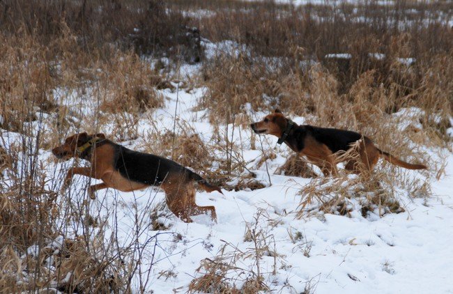 DSC_6288.JPG