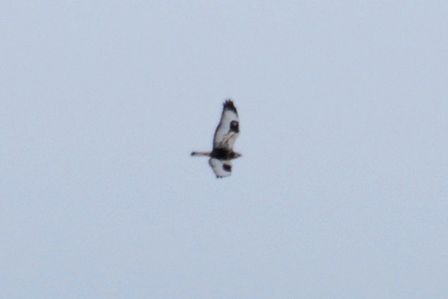 DSC_6307.JPG