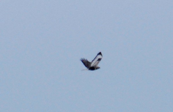 DSC_6313.JPG