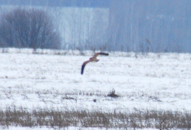 DSC_6330.JPG