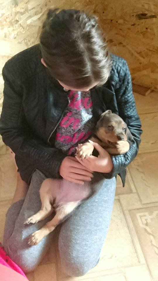 Miot Z w Ostoi znad Łyny