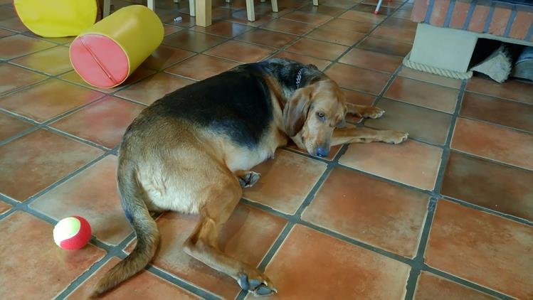 _20190122_210915 (Copy).JPG