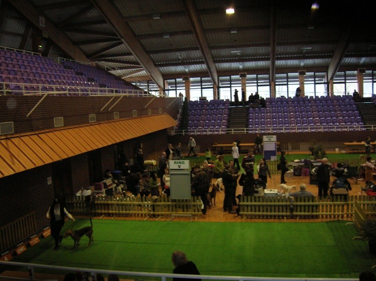 DSCN3496.JPG