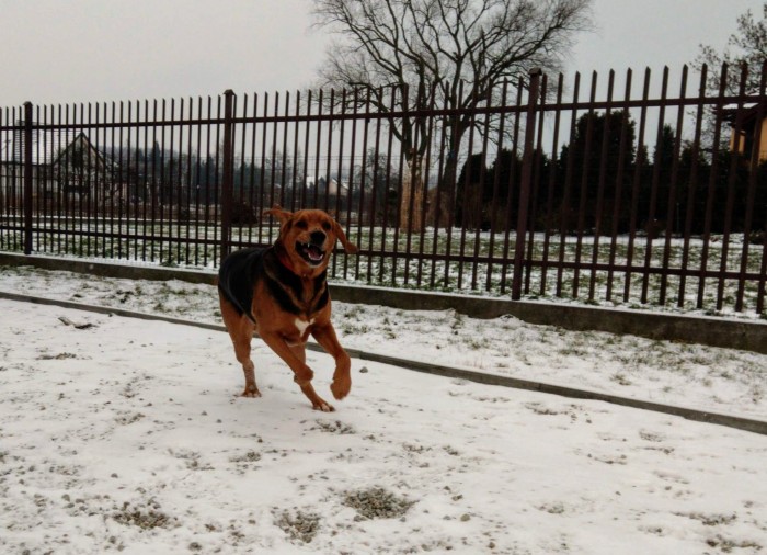 IMAG1230_BURST018.jpg