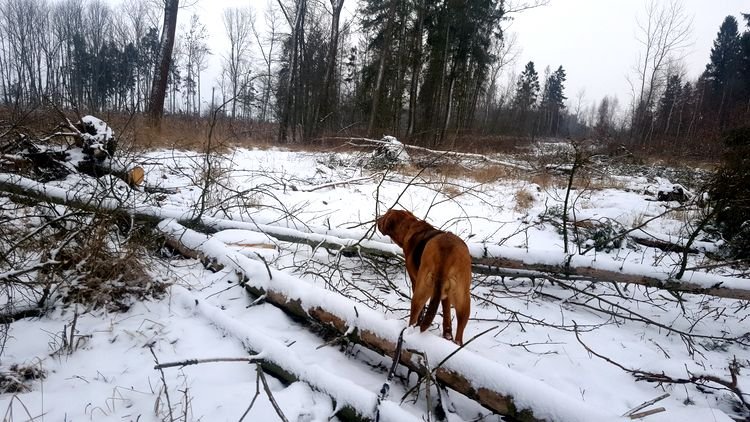 20190126_140949.jpg