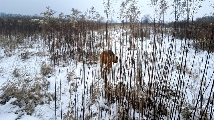 20190126_134824.jpg