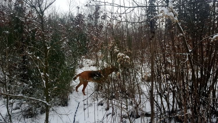 20190126_142337.jpg