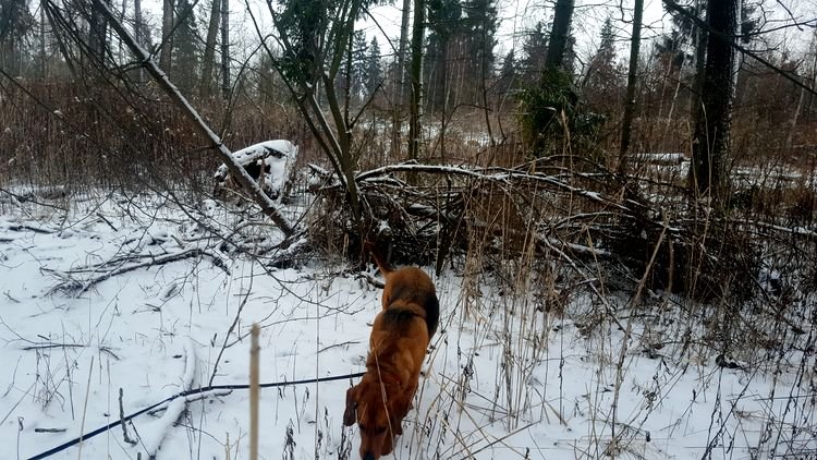 20190126_141115_001.jpg