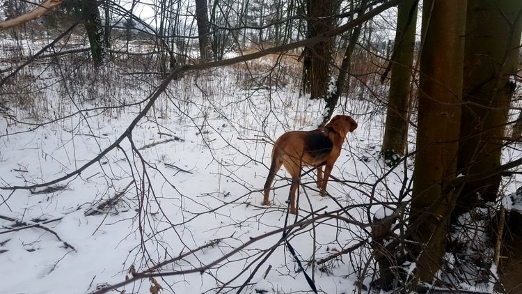 20190126_141303.jpg