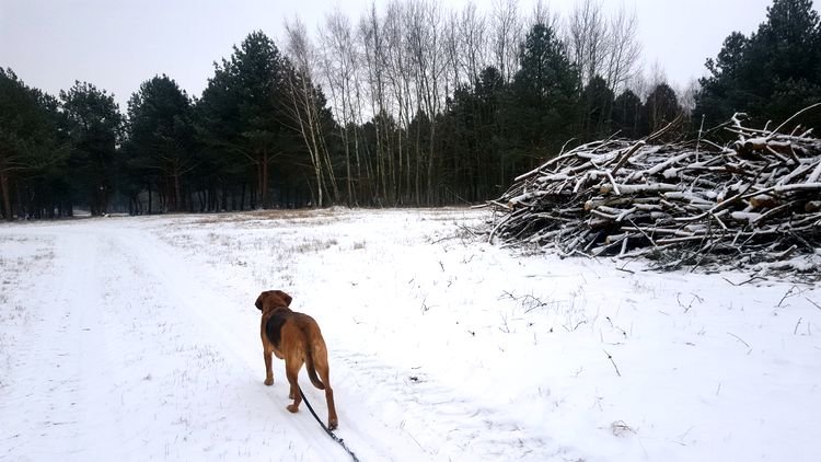 20190126_142825.jpg