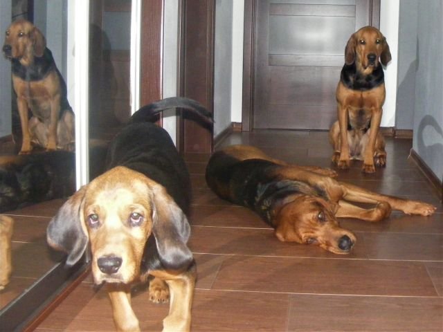 DSCF7939.jpg