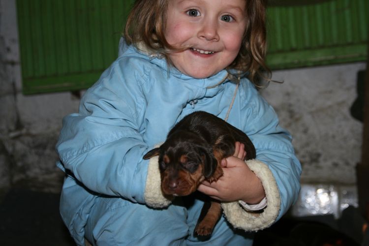 hodowca &quot;junior&quot;