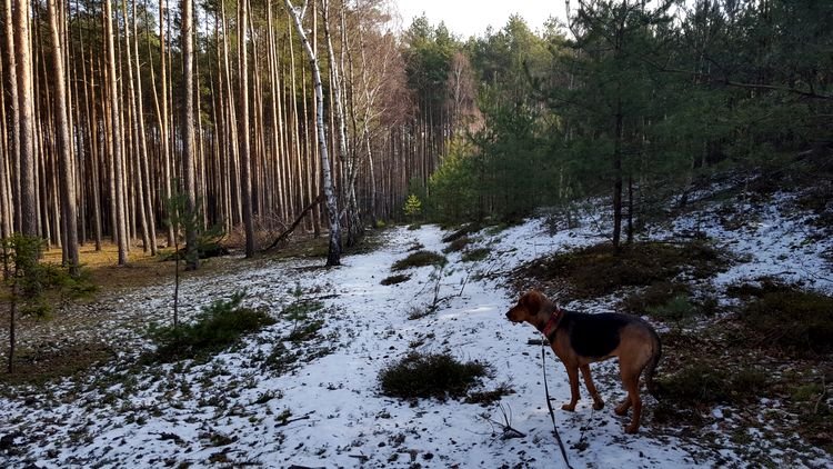 20190130_122940.jpg